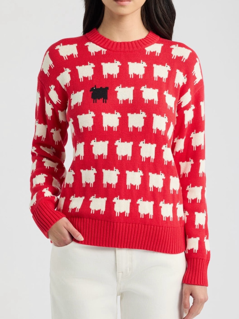 Warm & Wonderful Black Sheep Sweater - Picture 3 of 12